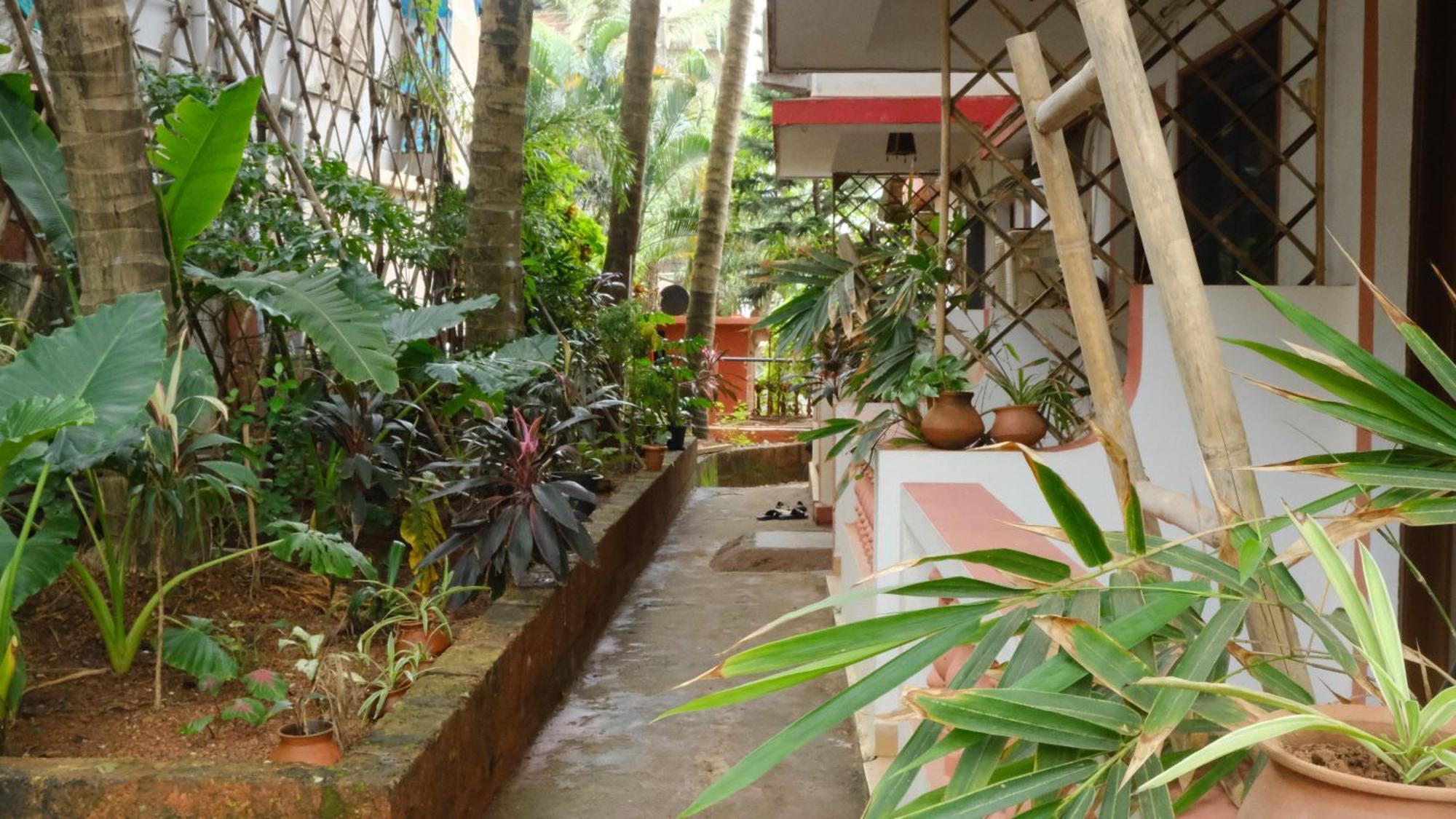 Coco Moon Morjim Exterior foto